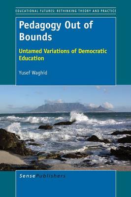 Book cover for Pedagogy Out of Bounds