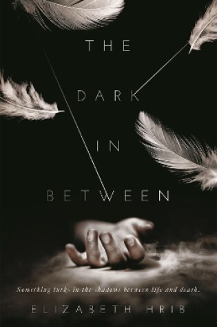 Cover of The Dark In-Between