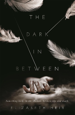 Book cover for The Dark In-Between