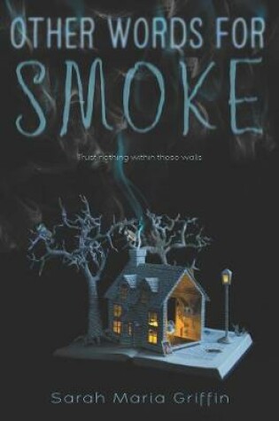 Cover of Other Words for Smoke