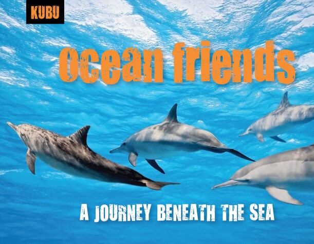 Book cover for Ocean Friends