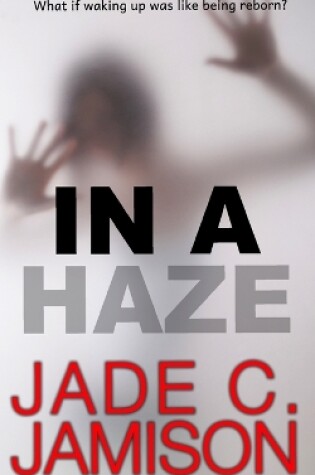 Cover of In a Haze