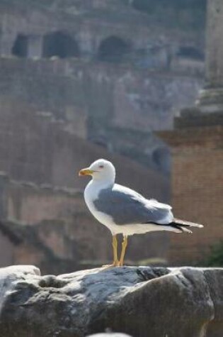 Cover of A Seagull Standing Tall in Rome, Italy Journal