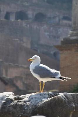 Book cover for A Seagull Standing Tall in Rome, Italy Journal