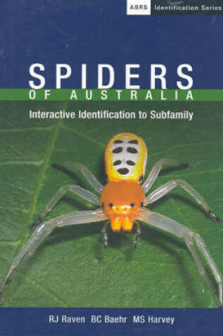 Cover of Spiders of Australia