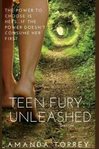 Cover of Teen Fury