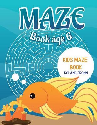 Book cover for Maze book age 6