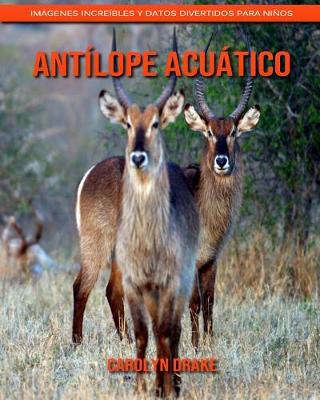 Book cover for Antílope acuático