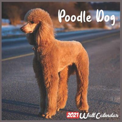 Book cover for Poodle Dog 2021 Wall Calendar