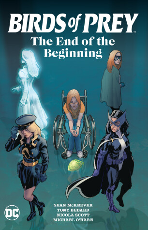 Book cover for Birds of Prey: The End of the Beginning