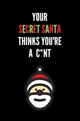 Book cover for Your Secret Santa Thinks You're A C*nt