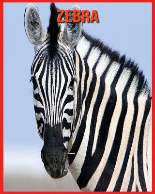 Book cover for Zebra