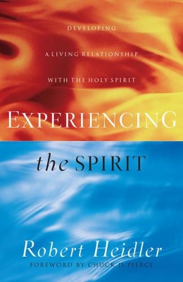 Book cover for Experiencing the Spirit