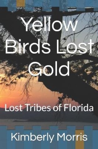 Cover of Yellow Birds Lost Gold