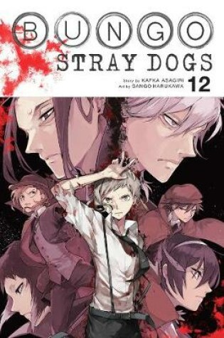 Cover of Bungo Stray Dogs, Vol. 12