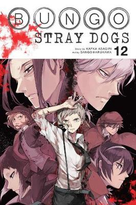 Book cover for Bungo Stray Dogs, Vol. 12