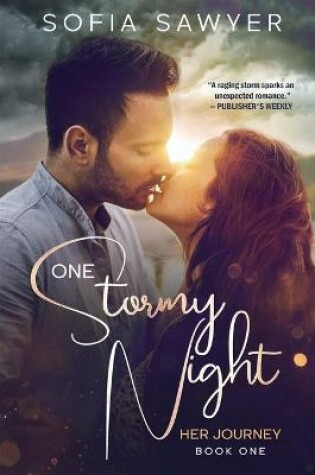 Cover of One Stormy Night