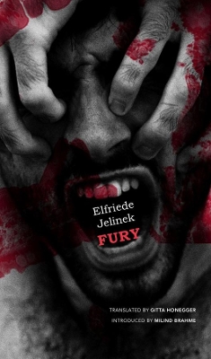 Book cover for Fury