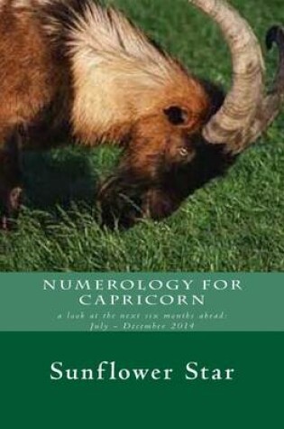 Cover of Numerology for Capricorn