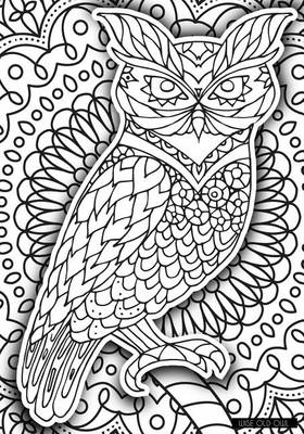 Book cover for Wise Old Owl - A Color Your Cover Journal