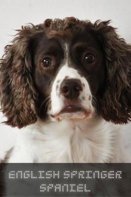 Book cover for English Springer Spaniel