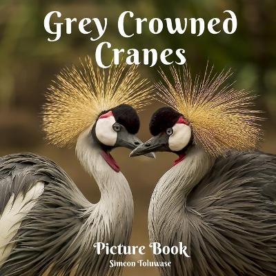 Book cover for Grey Crowned Crane Picture Book