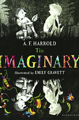 Cover of The Imaginary