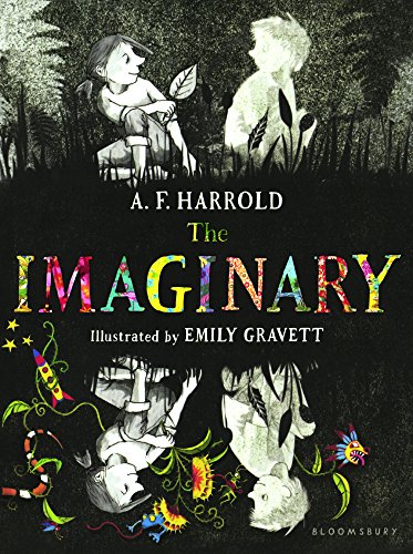 Book cover for The Imaginary