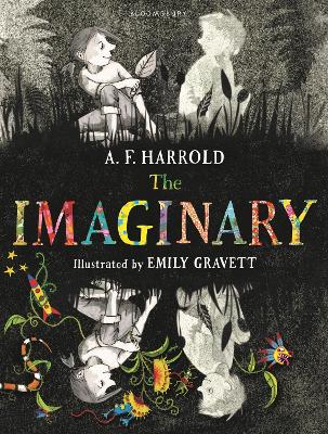 Book cover for The Imaginary