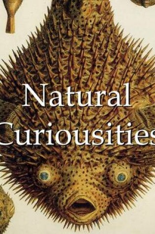 Cover of Natural Curiosities