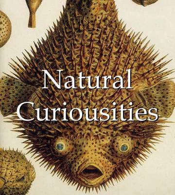 Book cover for Natural Curiosities