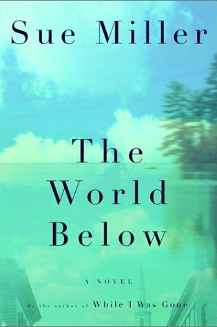 Cover of World below, the