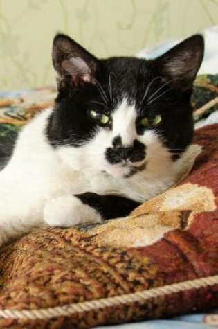 Cover of Adorable Black and White Cat Lounging on a Pillow Journal