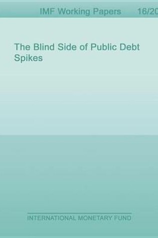 Cover of The Blind Side of Public Debt Spikes