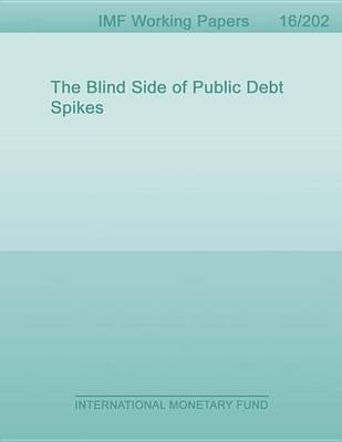 Book cover for The Blind Side of Public Debt Spikes