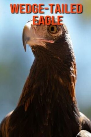 Cover of Wedge-Tailed Eagle