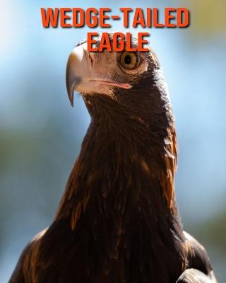 Book cover for Wedge-Tailed Eagle