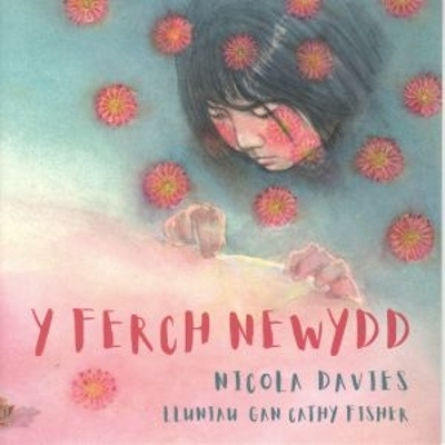 Book cover for Ferch Newydd, Y