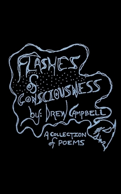 Book cover for Flashes of Consciousness