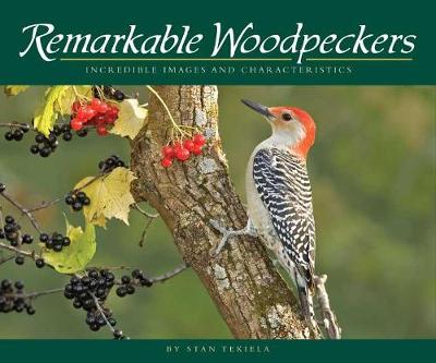 Book cover for Remarkable Woodpeckers