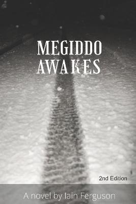 Book cover for Megiddo Awakes