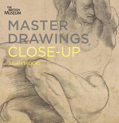 Book cover for Master Drawings Close-up