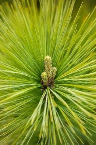 Cover of Pine Needles Close Up Journal