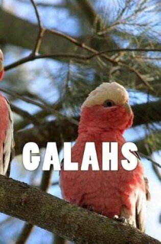 Cover of Galahs (Journal / Notebook)