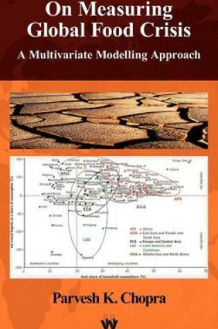 Cover of On Measuring Global Food Crisis