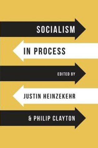 Cover of Socialism in Process