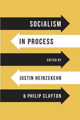 Book cover for Socialism in Process