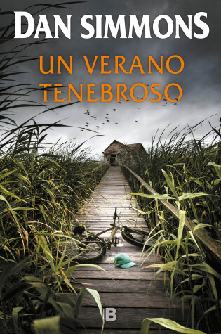 Cover of Un verano tenebroso / Summer of Night
