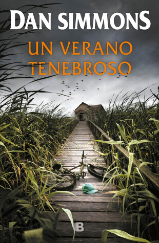 Book cover for Un verano tenebroso / Summer of Night