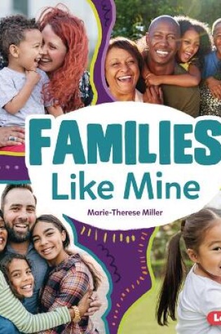 Cover of Families Like Mine